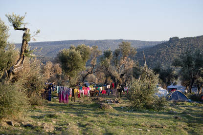 Overzicht over de olijfgaard buiten vluchtelingenkamp Moria, Lesbos, waar duizenden vluchtelingen hun tent opslaan