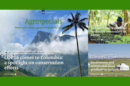 Cover agrospecial 13