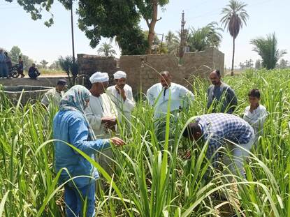 group of farmers on a grass field watching a farming demonsration