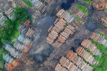 Deforestation in Brazil