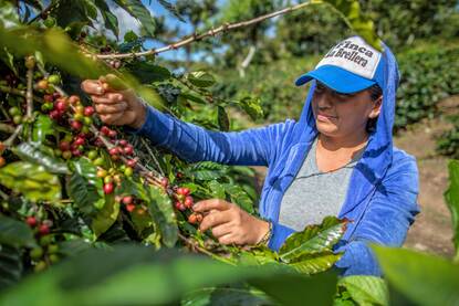 Coffee, Nicaragua, Acorn, Dream Fund, Climate Heroes