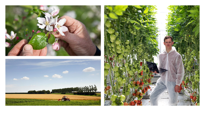 compilation of agricultural images