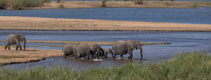 Sabie River in the Kruger National Park