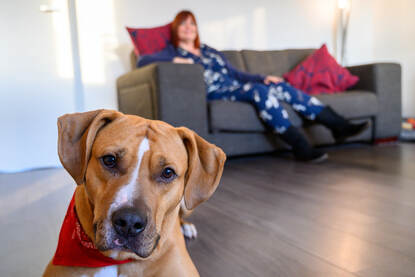 Ilona van Zanten op de bank en haar hond Diessel ligt op de voorgrond